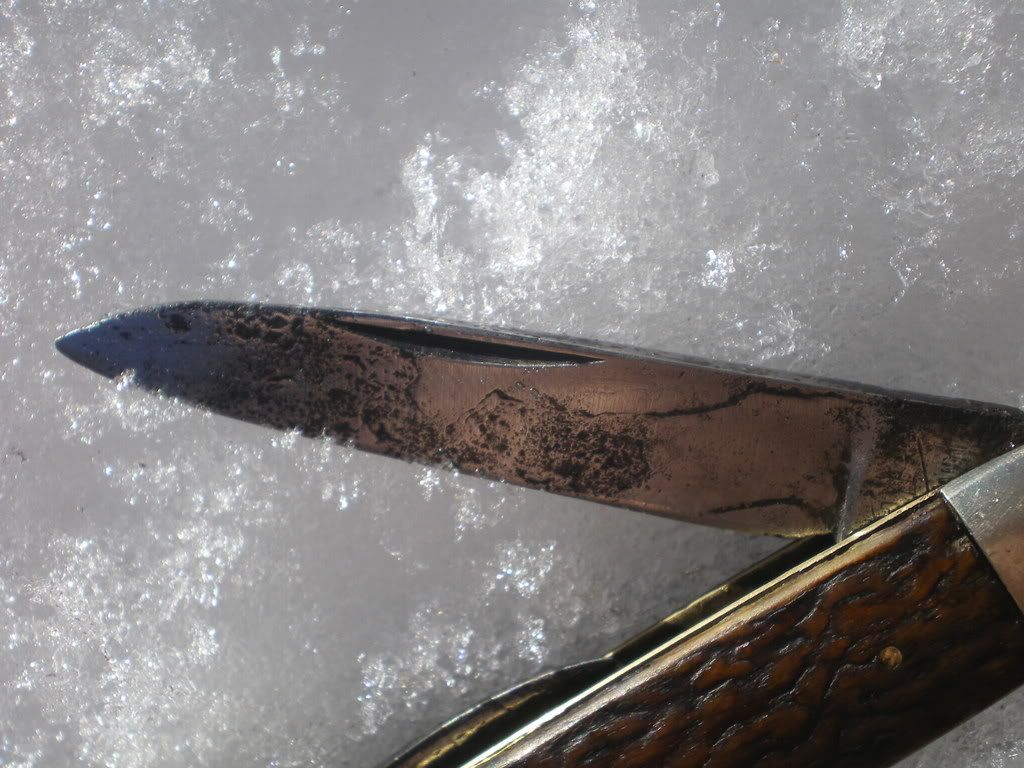 IMGP0073.jpg