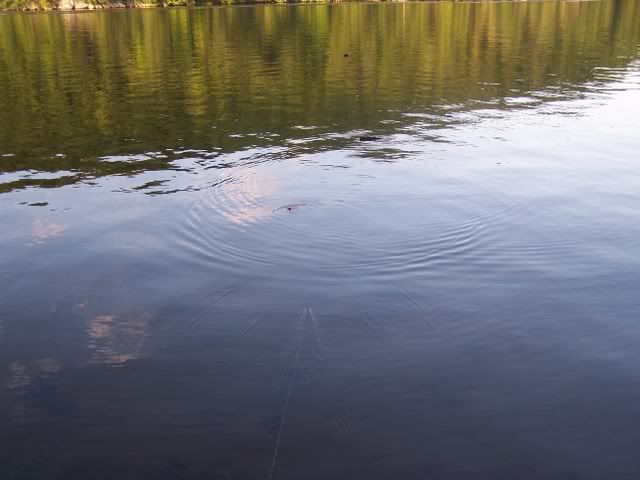 100_8595.jpg