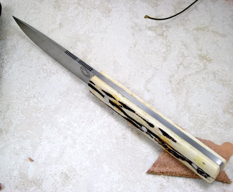 DSCN1355.jpg