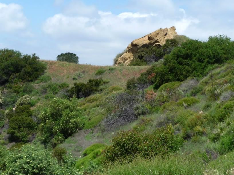 SoCal2011255.jpg