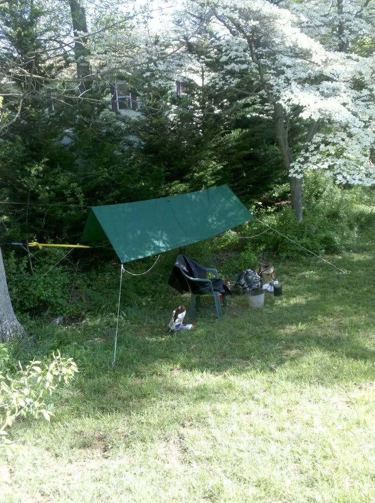 2012-04-07105819.jpg