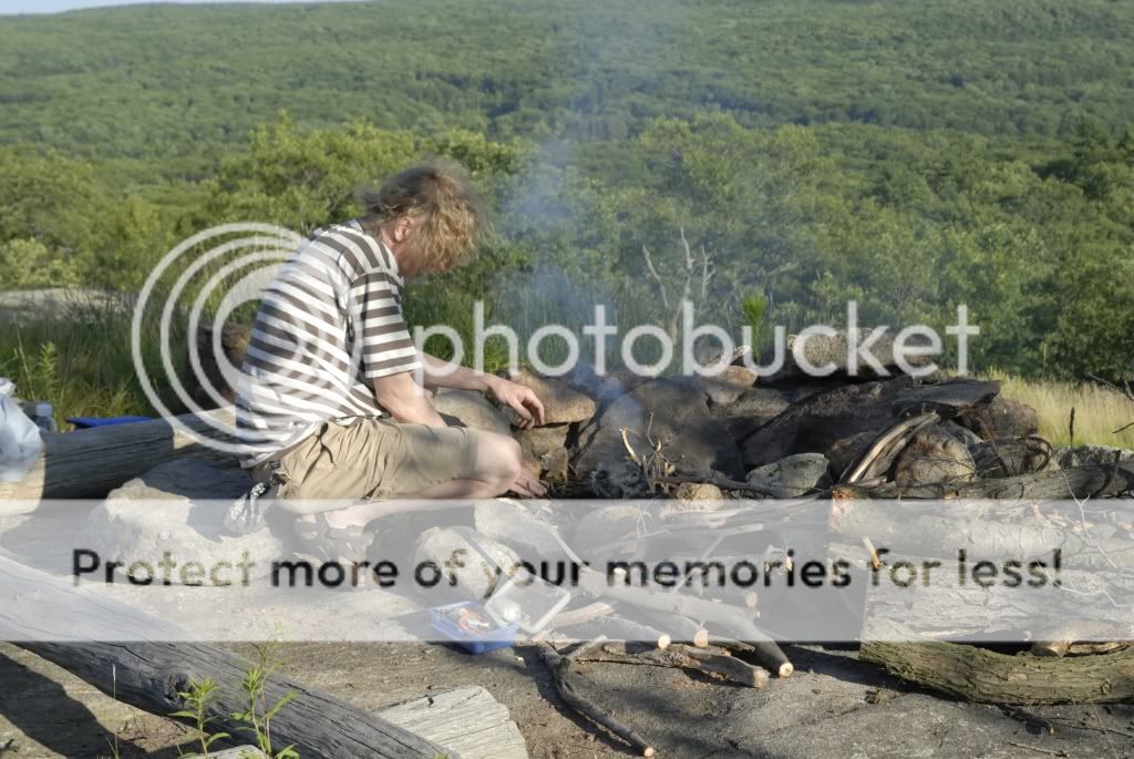 _MS86808sml.jpg