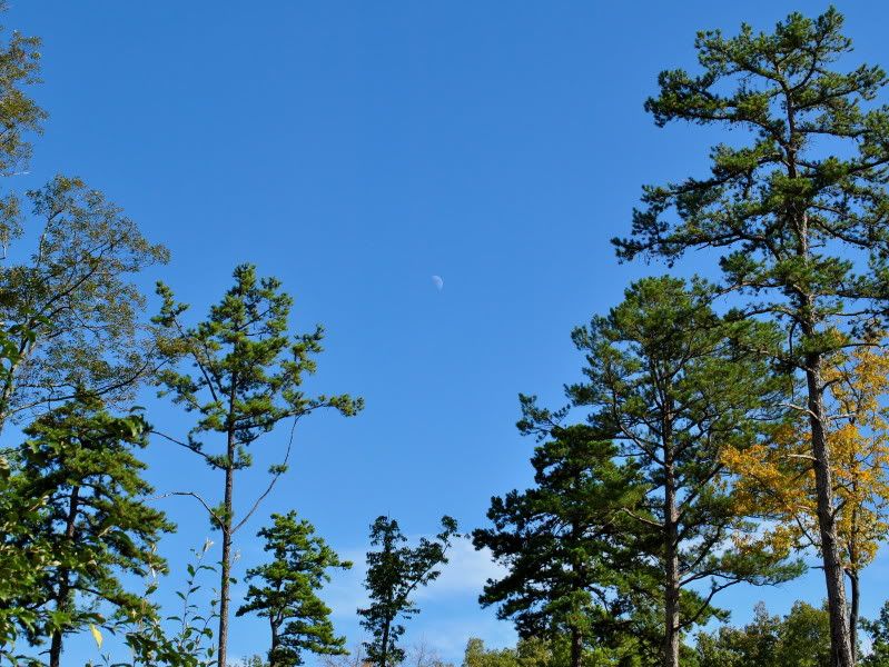 DSC_3397.jpg