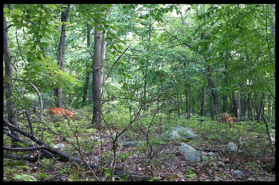 058_007_zps8f285726.jpg
