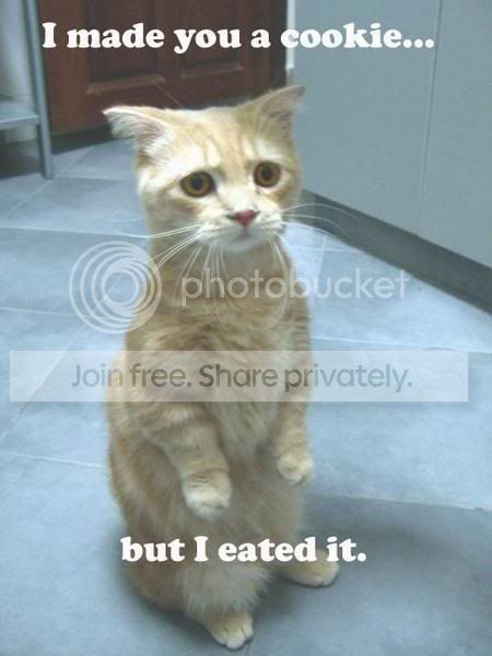imadeyouacookiebutIeatedit.jpg
