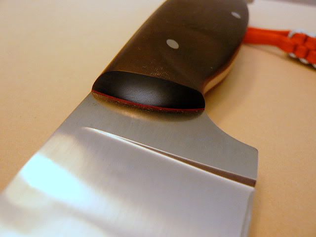 P1000614-1.jpg