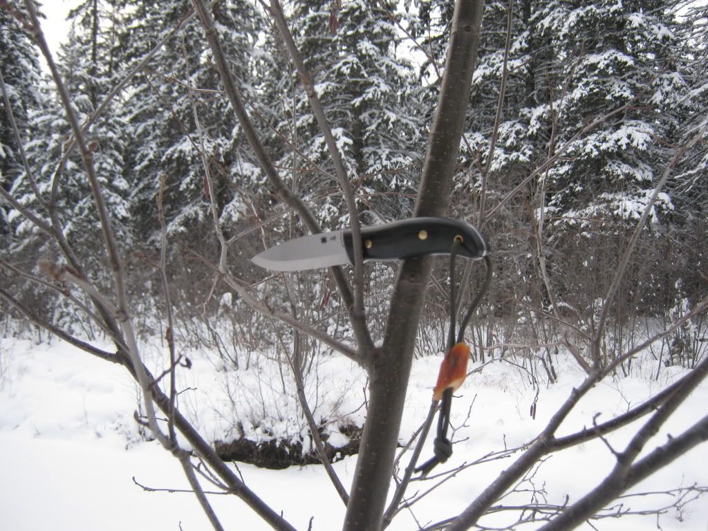 decemberbushcraft031.jpg