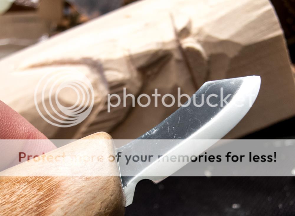 IMG_1201.jpg~original