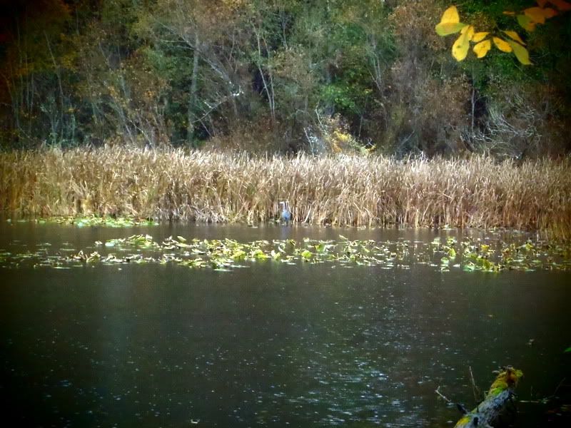 PB160013.jpg
