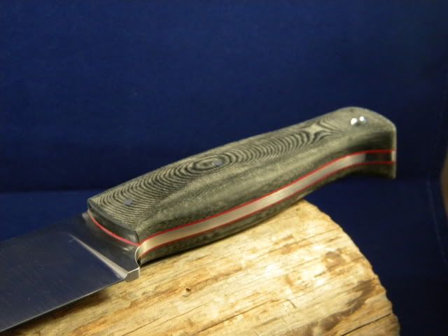 DSCN1378.jpg
