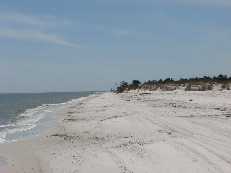 IMG_4539.jpg