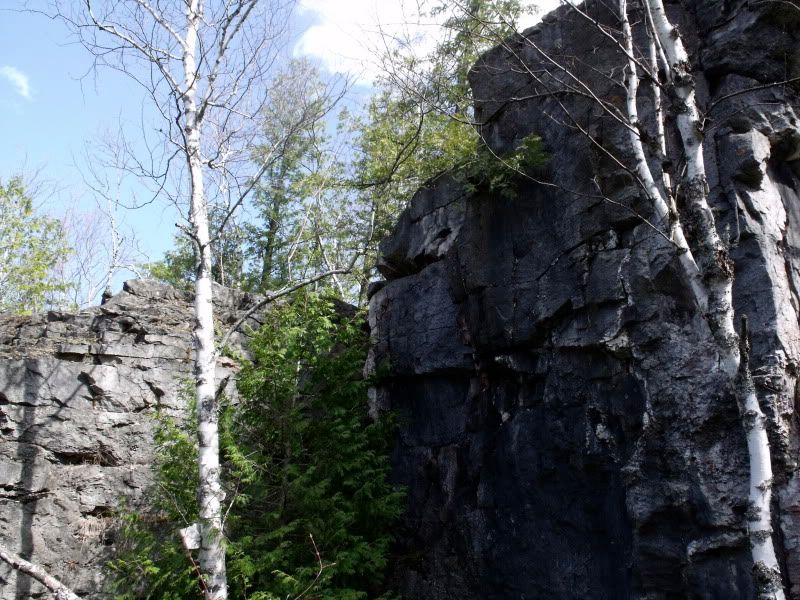DSCF2294.jpg