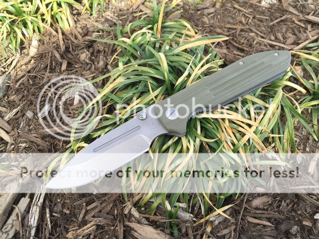 IMG_0870_zpslf7ampv9.jpg