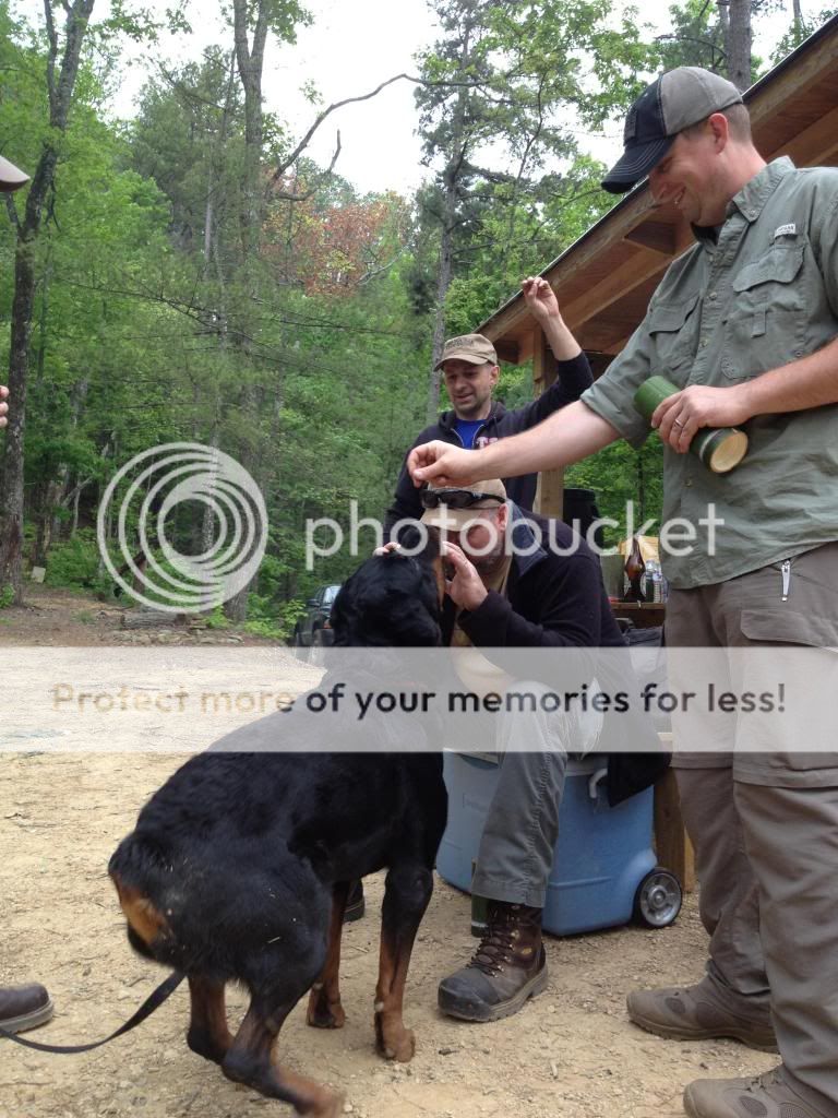 IMG_1324_zps73e25960.jpg