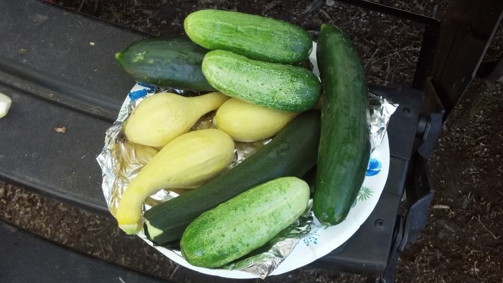 2012-07-22_14-52-52_263.jpg
