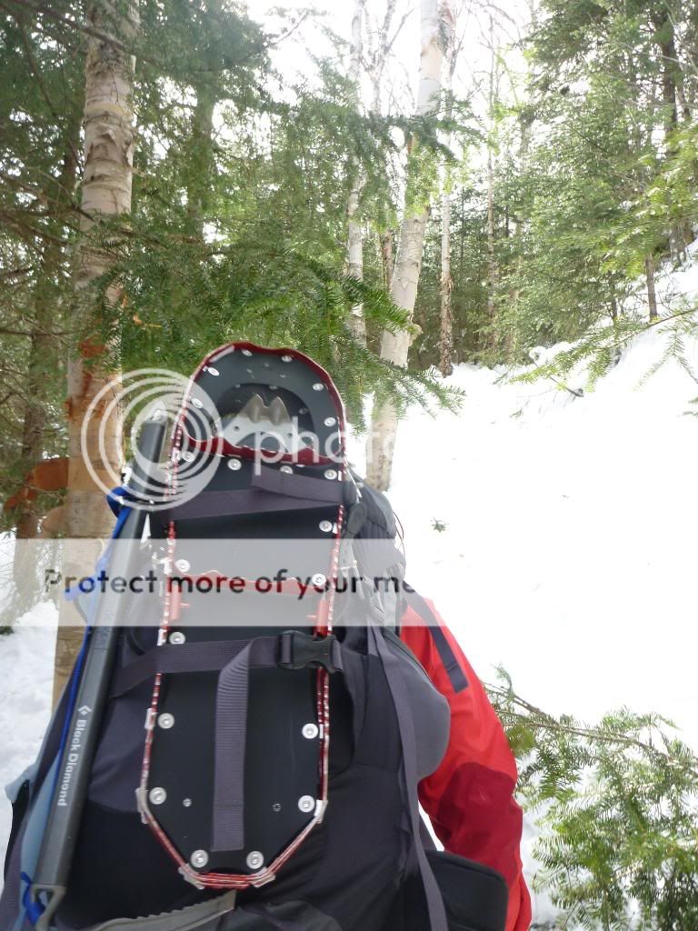 MtMadison027.jpg