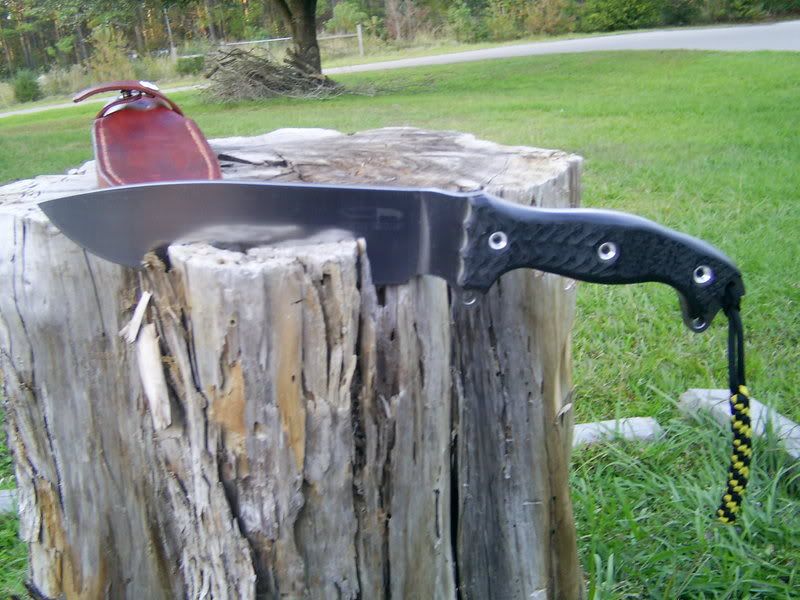 ebaypics371.jpg