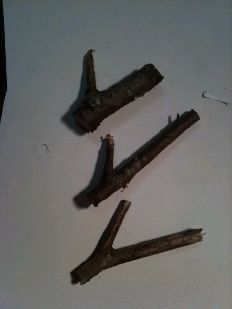 wood.jpg