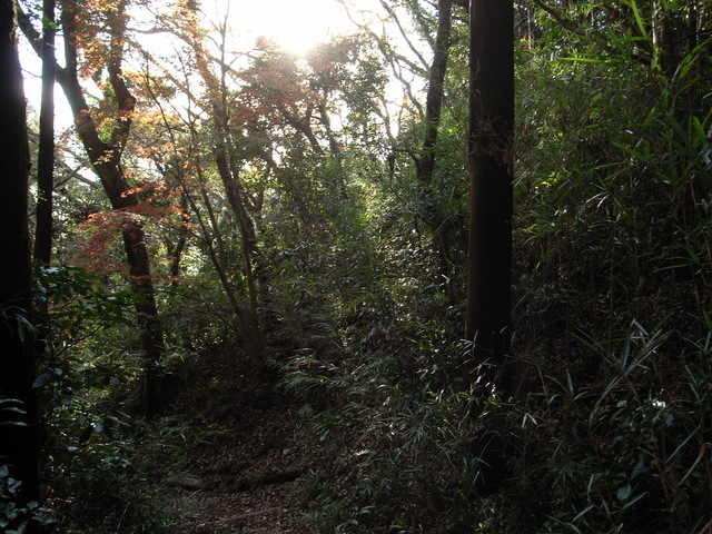2009.12.11.r0019519.jpg