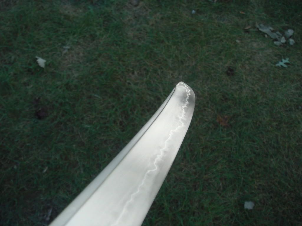 DSC01930.jpg