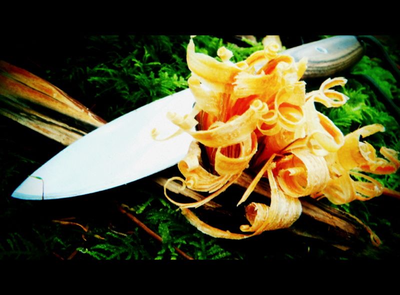 FrancisKingFall2012012.jpg