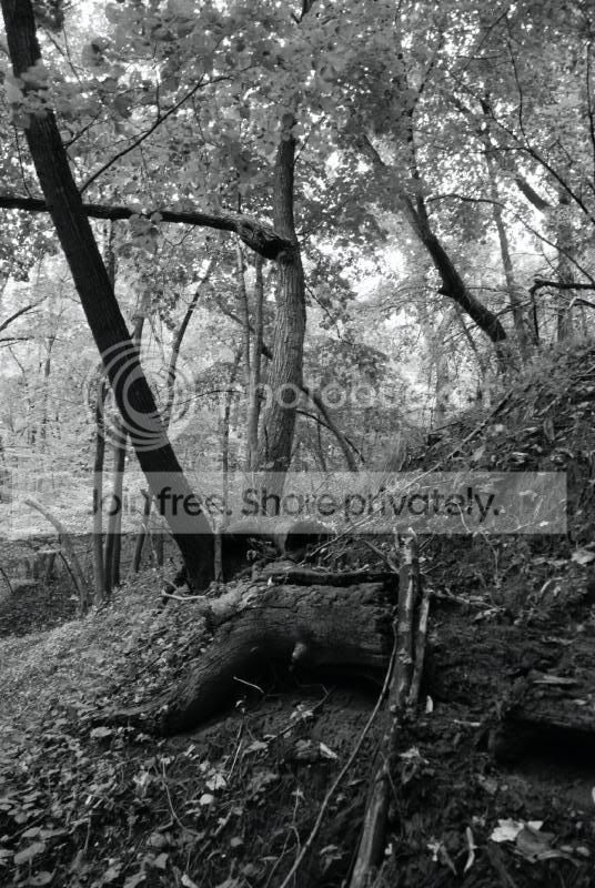 DSC_3469.jpg