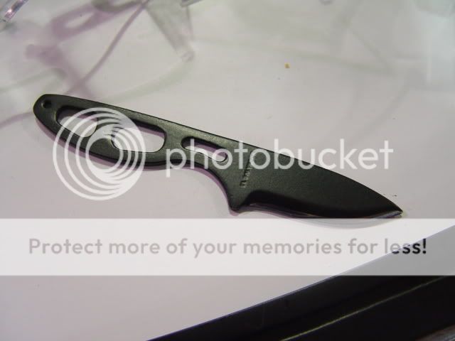 DSC09380.jpg