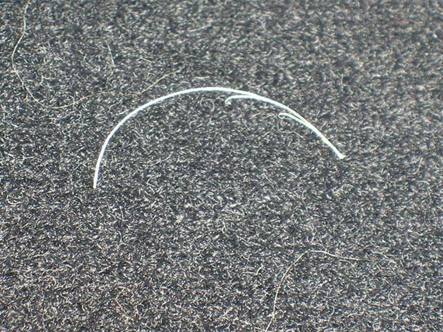 DSCN1750.jpg