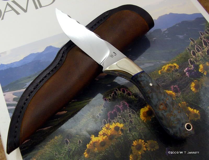 BFKestrelwithSheath.jpg