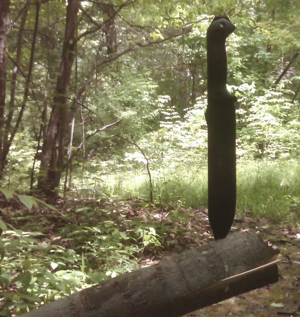20110528_ac12.jpg