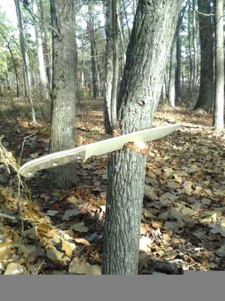 p_00062.jpg