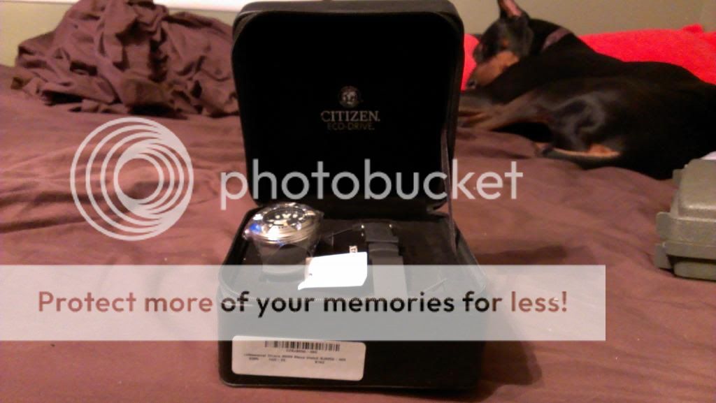 IMAG0124_BURST003_zpsbf76cbf9.jpg