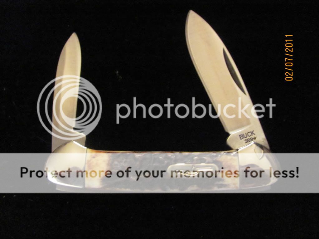 stag389andslippies006.jpg