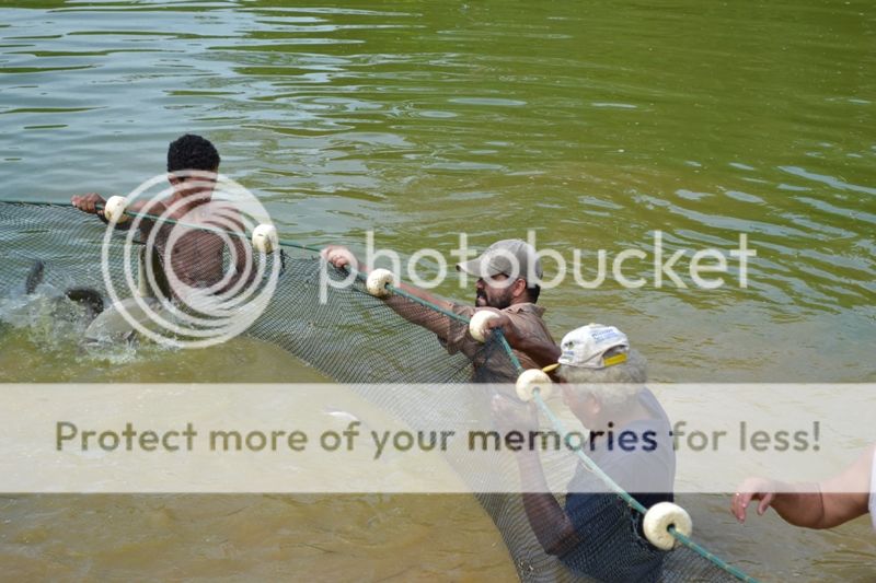 DSC_0231_zps847ff2c6.jpg