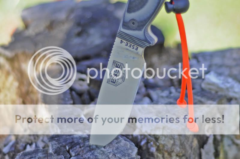 ESEE17.jpg