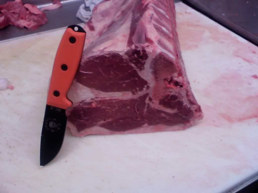 ratsteak2.jpg