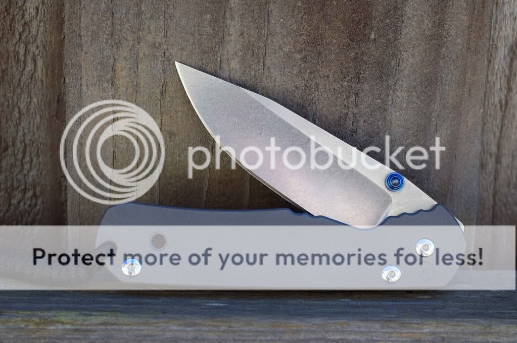 Sebenza_4.jpg