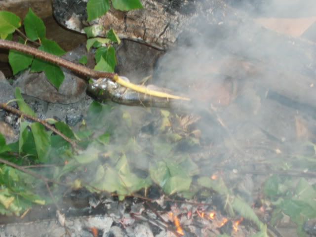 julycanoetrip051.jpg