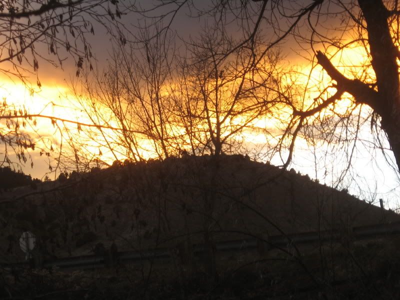 IMG_3758.jpg