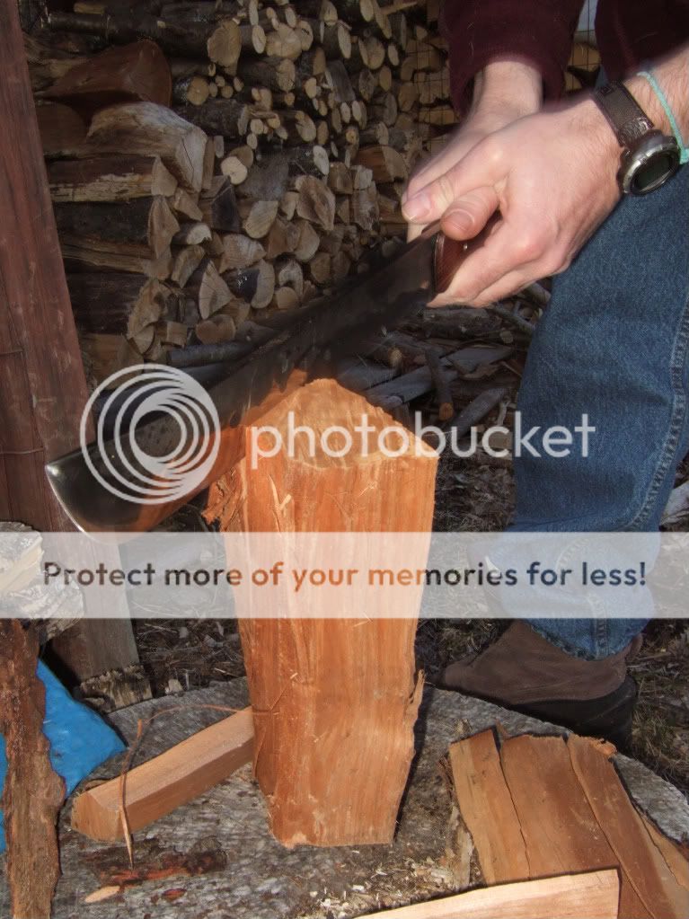 DSCF1033.jpg