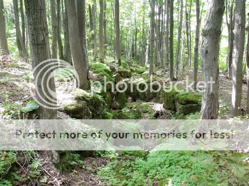 Sept62009008.jpg