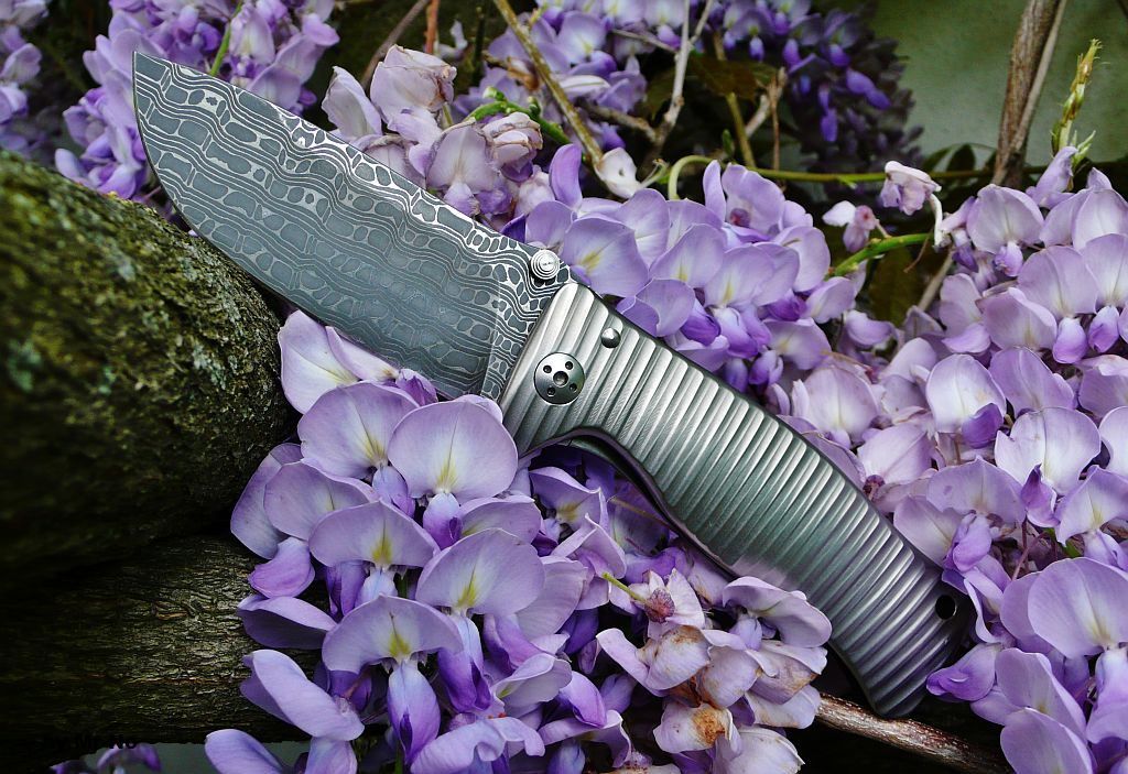 lionsteel1_zps239ab09f.jpg