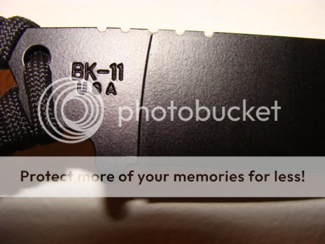DSC03289-1.jpg
