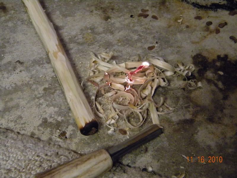 DSCN3099.jpg