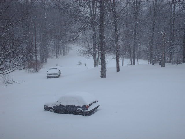 HPIM0793.jpg