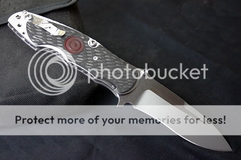 bull2.jpg