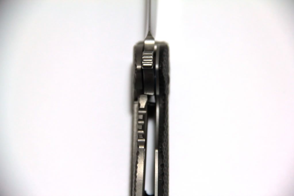 ZT0560_4.jpg