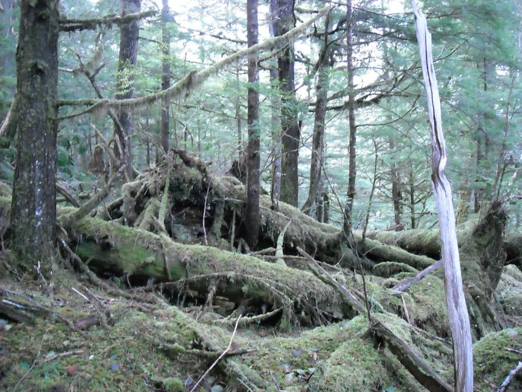 DSCN0109.jpg