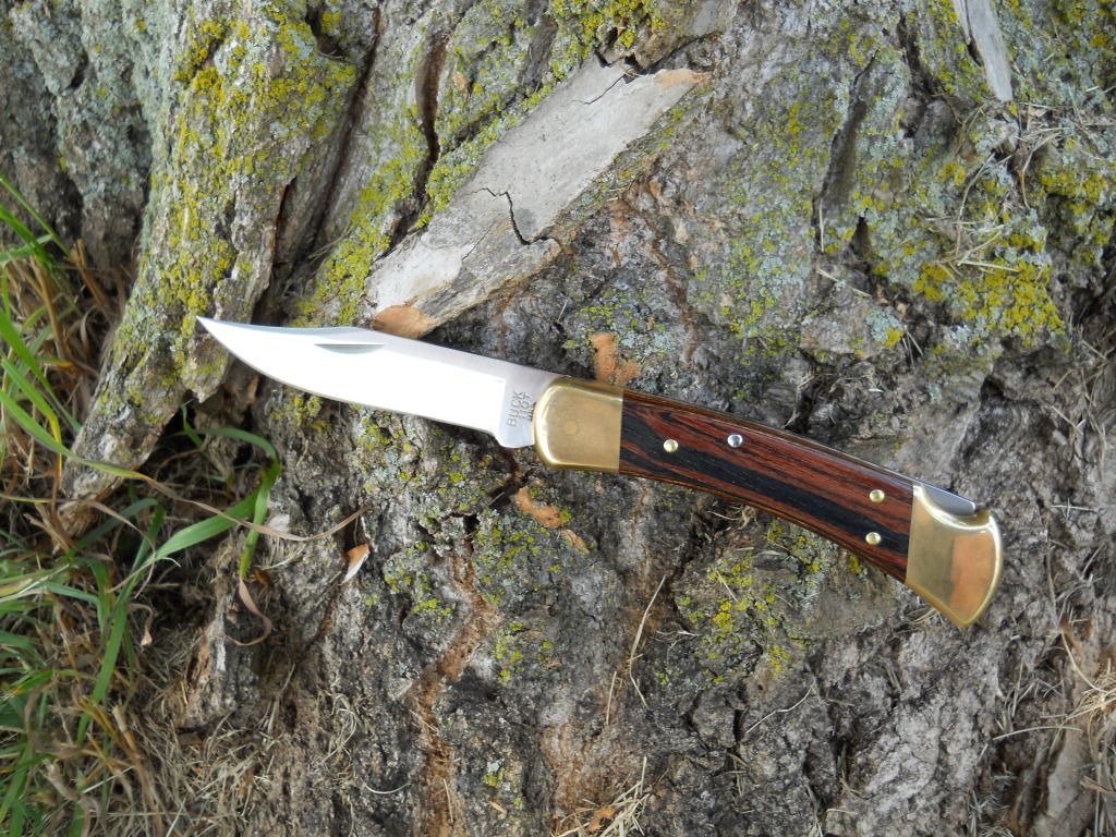 Buck110003.jpg