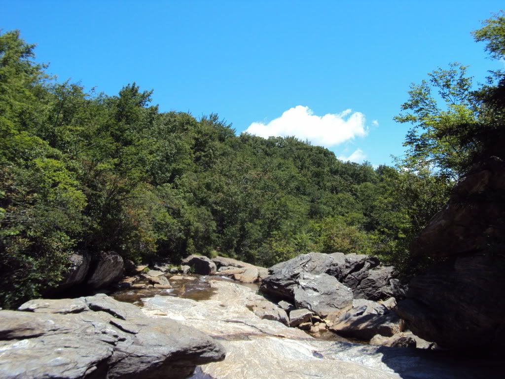 DSC00692.jpg